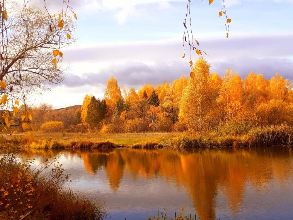 Осень рыжая подружка