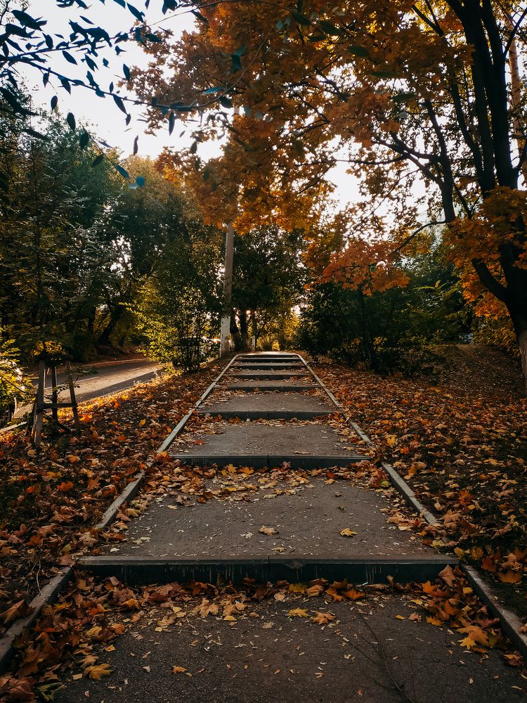 Photograph by Евгения Журавлева