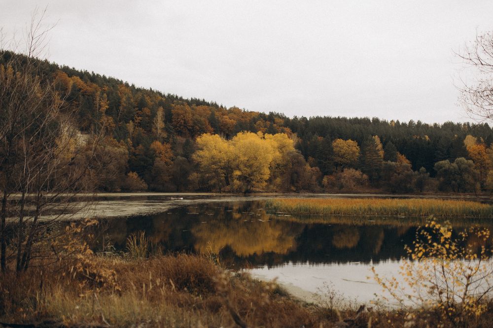 Photograph by Анна Лисина