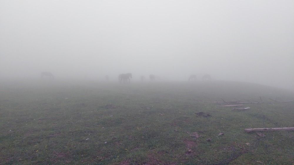 Photograph by ammar rahmani