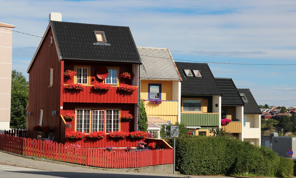 Цвет Норвегии...