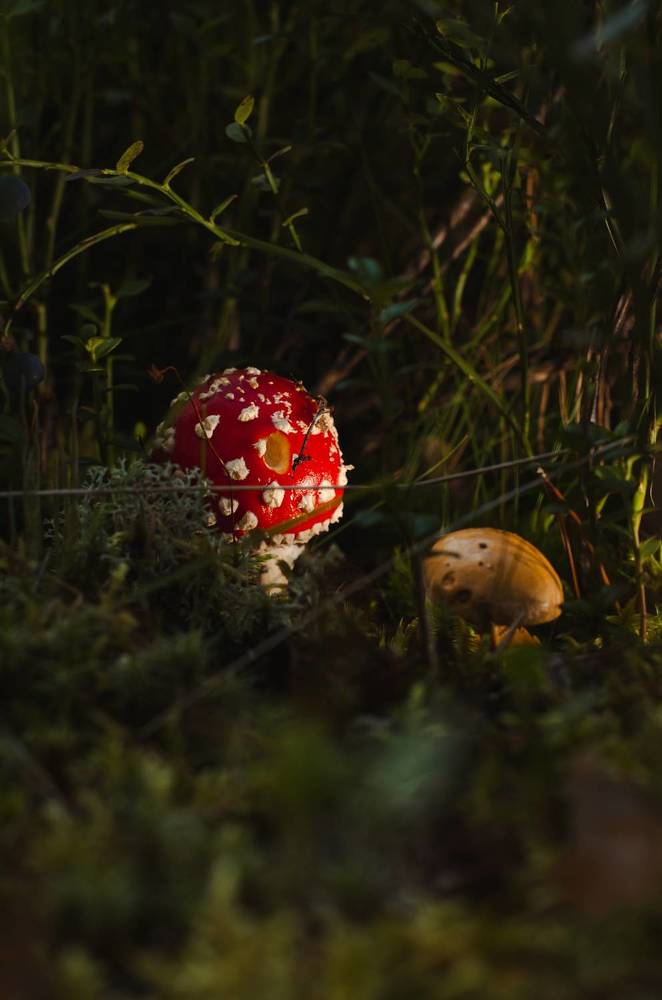 Photograph by Роман