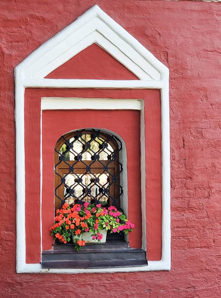 Фотография автора Светлана Алексеева