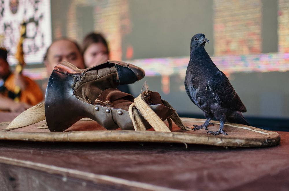 The dove as a symbol