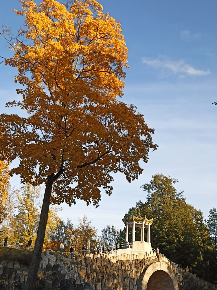 Photograph by Татьяна Смирнова