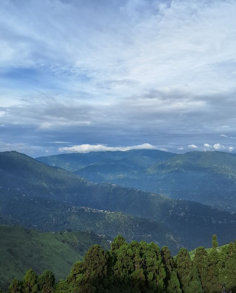 Darjeeling Valley