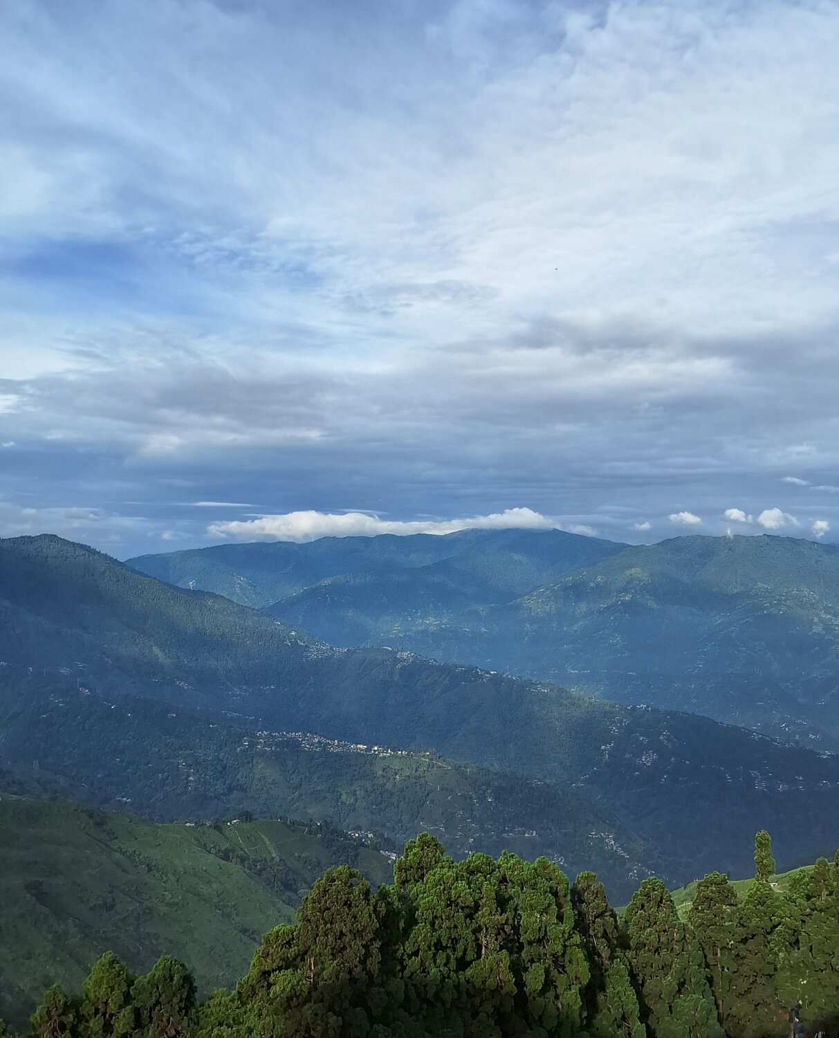 Darjeeling Valley