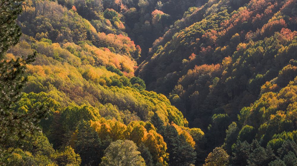 Photograph by Забудская Наталья