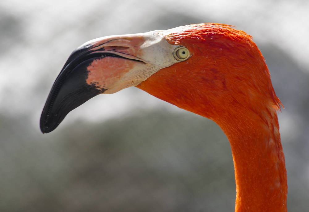 Photograph by Михаил Измайлов