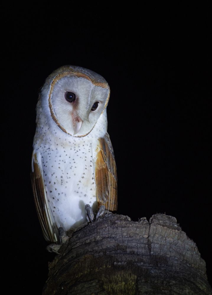 Photograph by Madhurya Mozumder