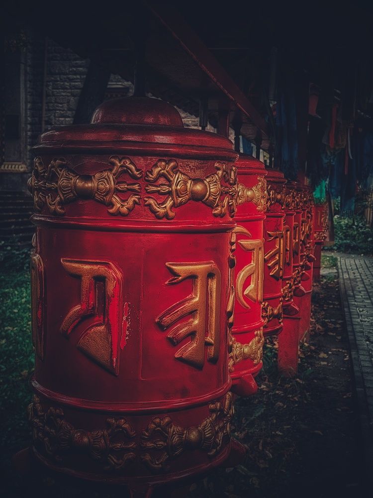 Photograph by Дайана