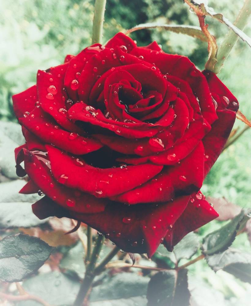 Фотография автора Valerya Vasileva