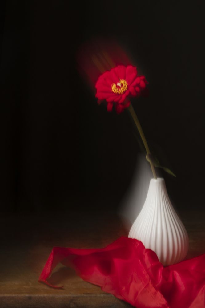 Photograph by Елена Коврижных