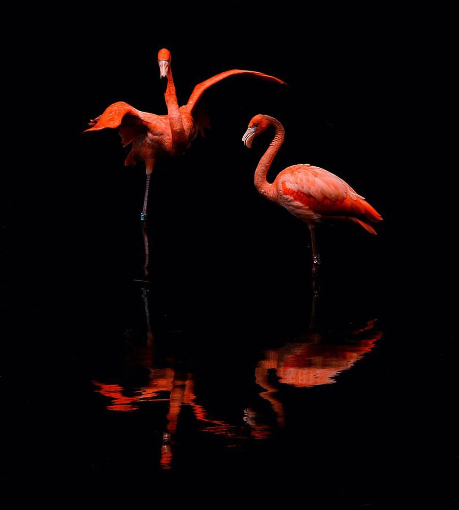 Photograph by Александр