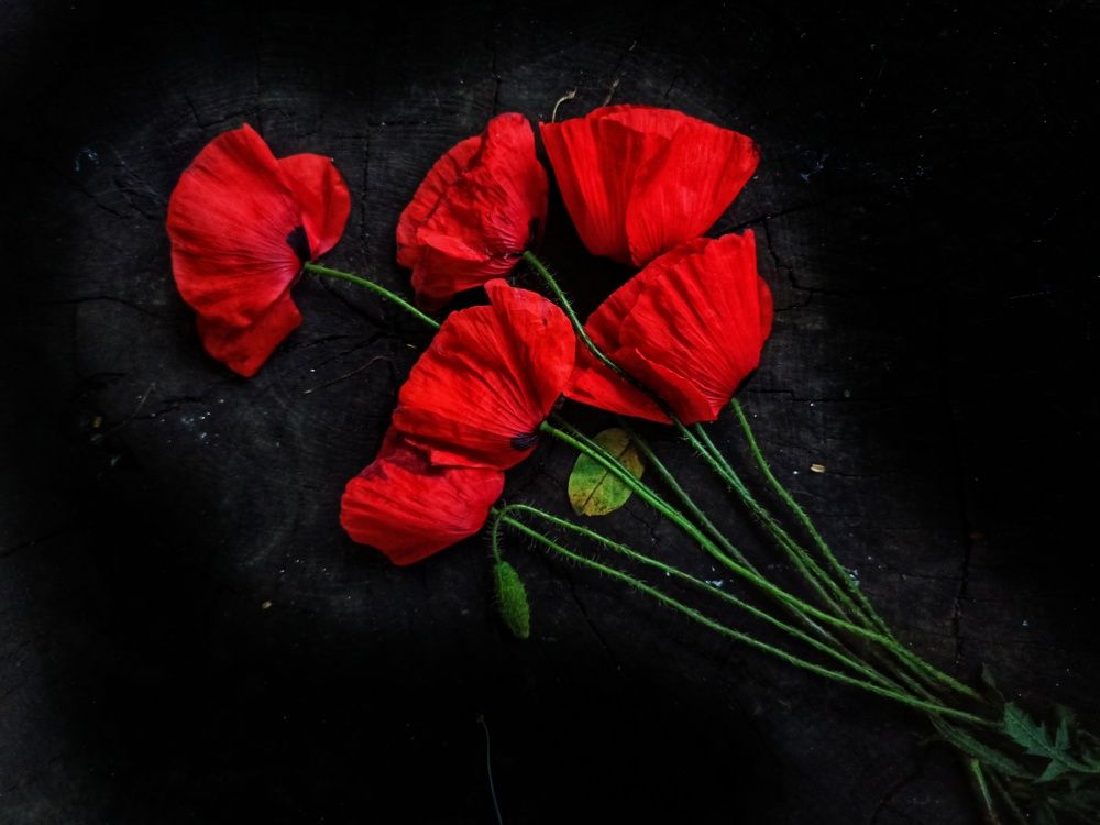 Photograph by ТАТЬЯНА/-+/-я ДОЛГУШЕВА