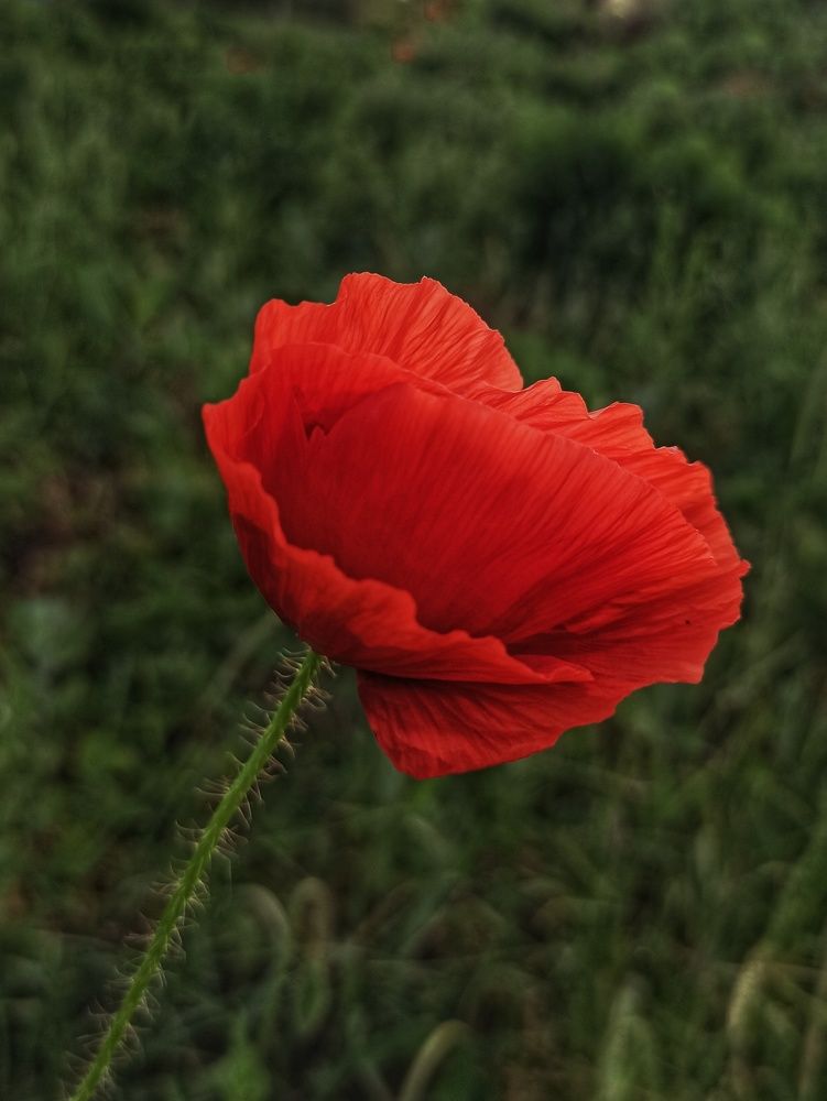 Photograph by ТАТЬЯНА/-+/-я ДОЛГУШЕВА
