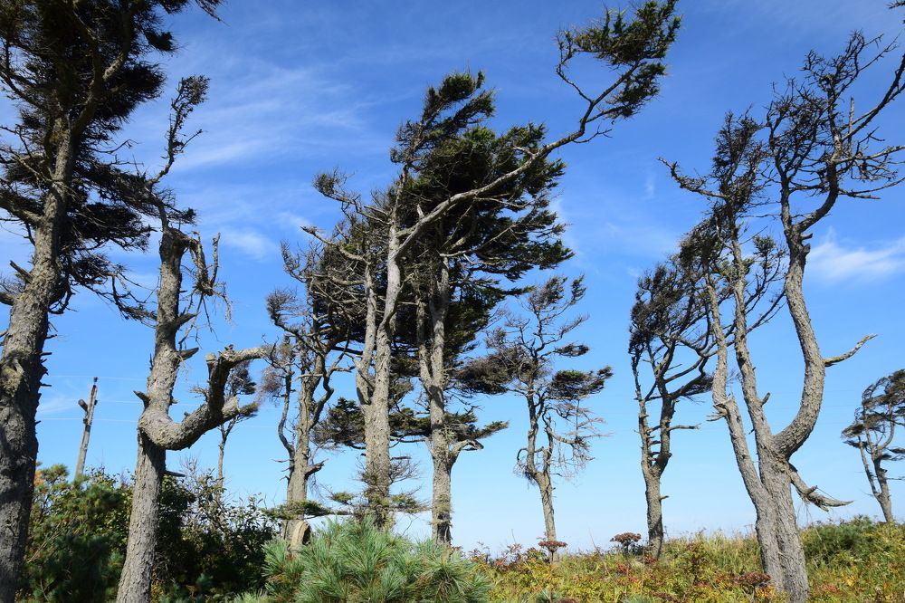 Photograph by Сон Ен Дё