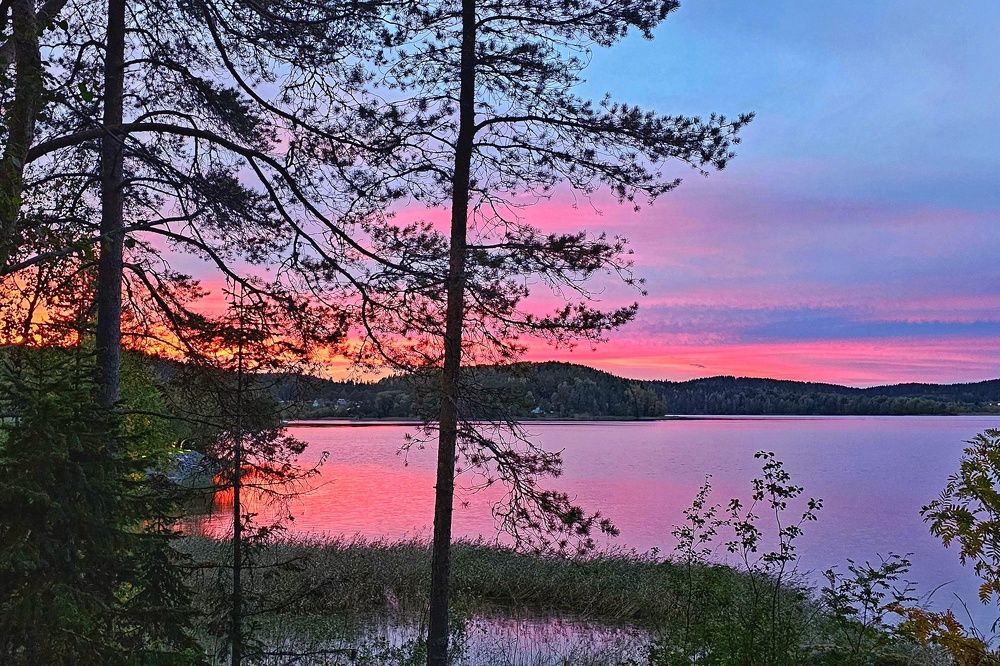 Photograph by Алексей Новиков