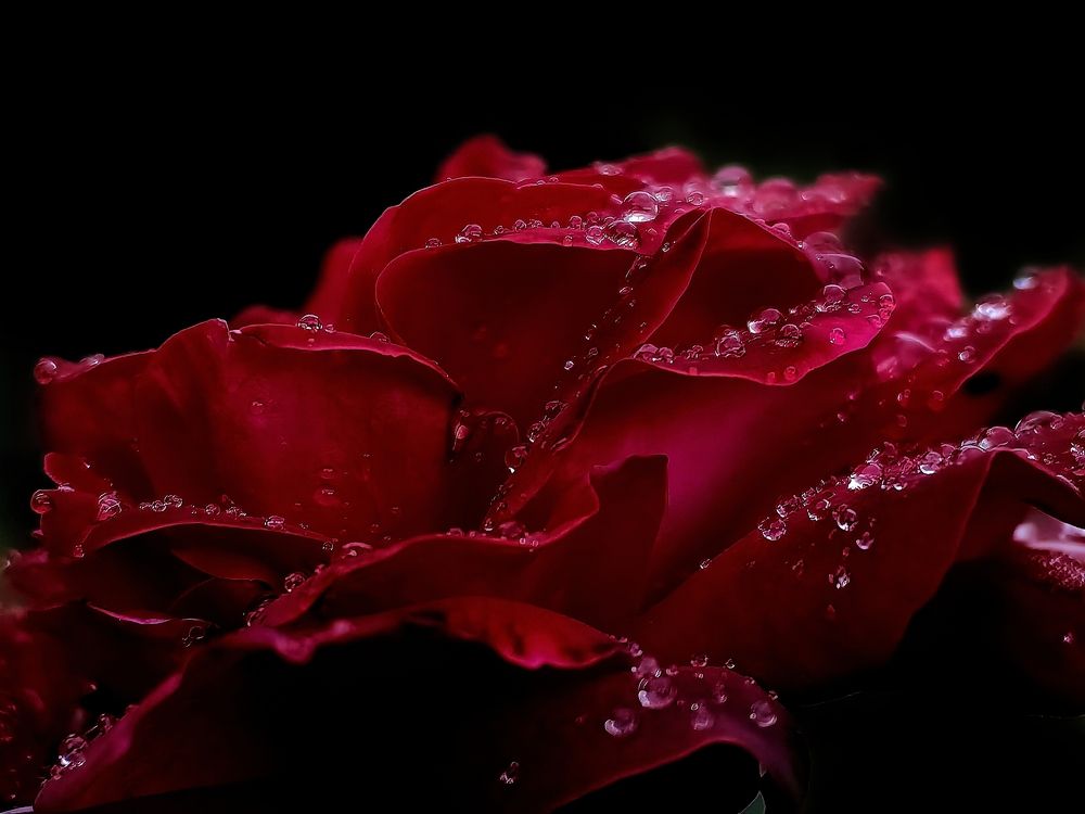 Photograph by Alen Brkić