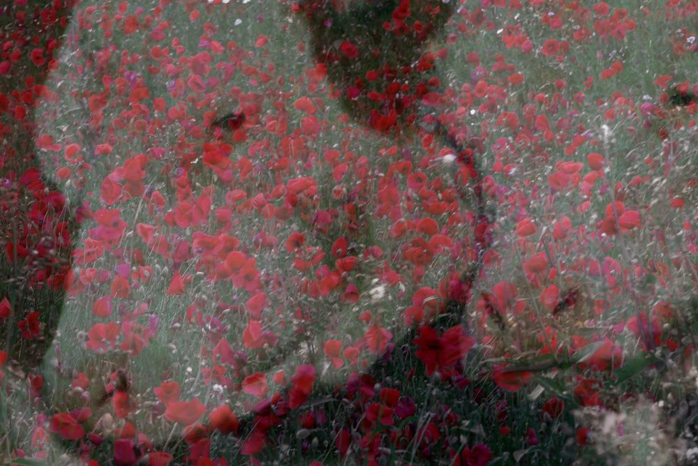 Фотография автора Alyona Madsen