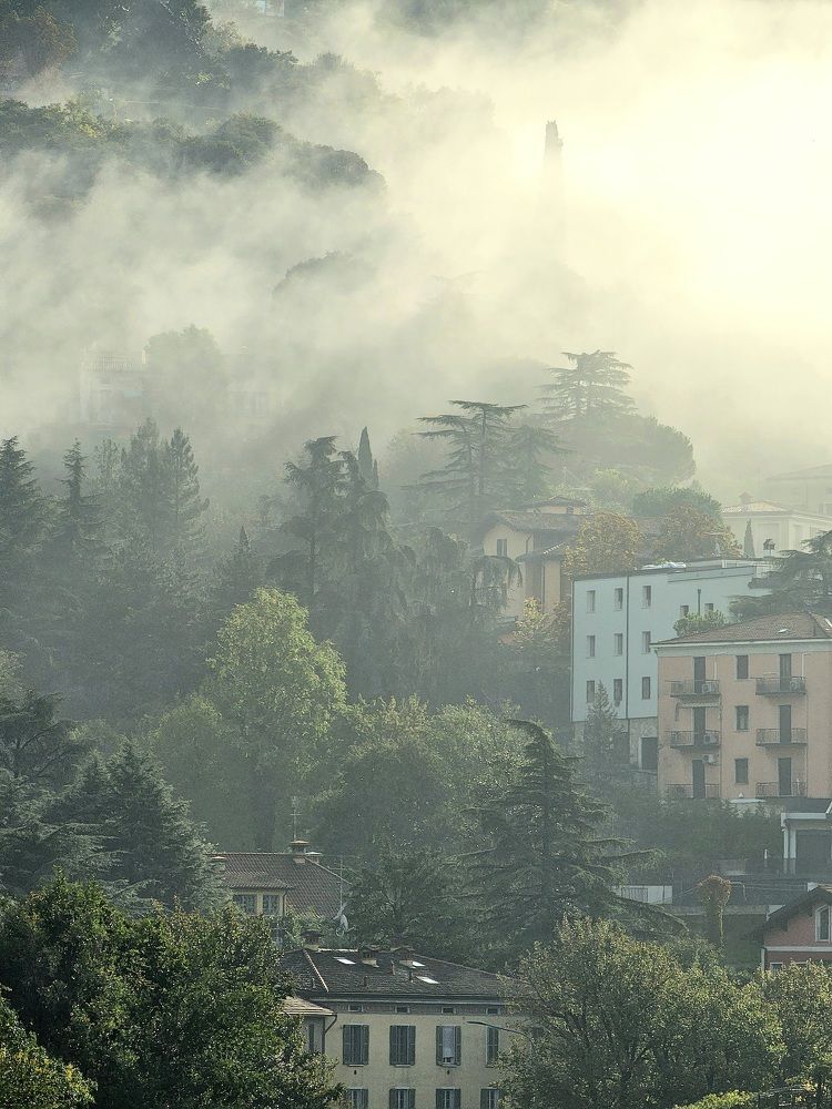 Photograph by Kristina F