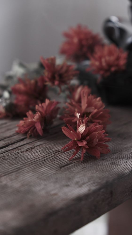 Photograph by Яна Истоцкая