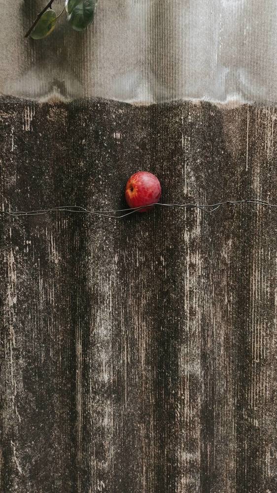 Photograph by Светлана Барабанова