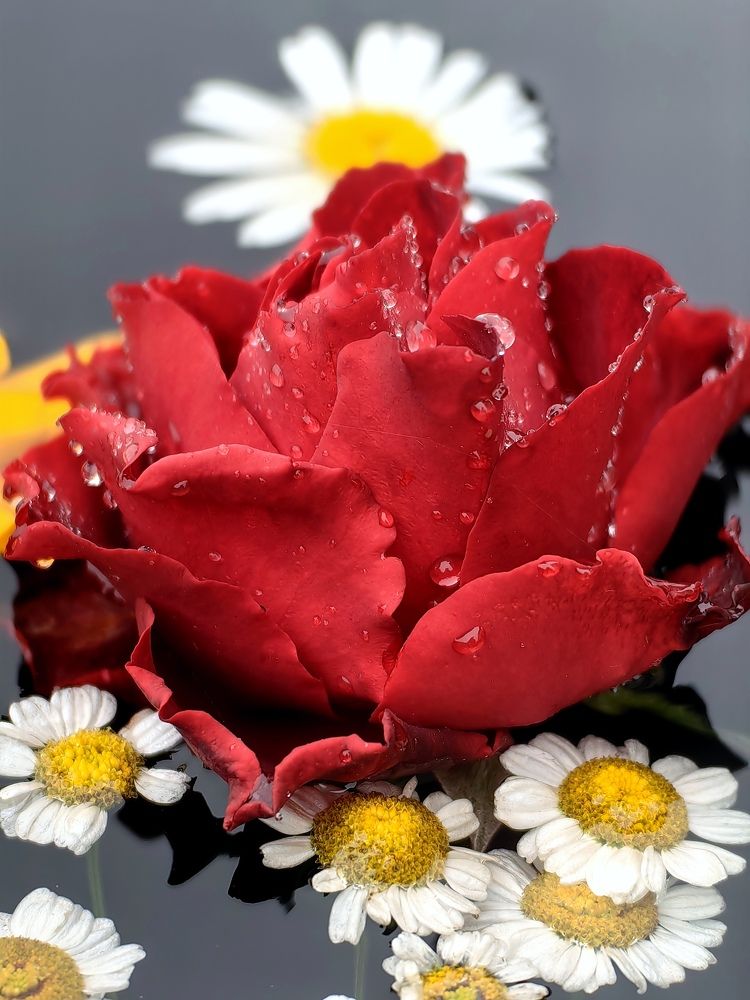 Photograph by OLGA MIKHNEVICH