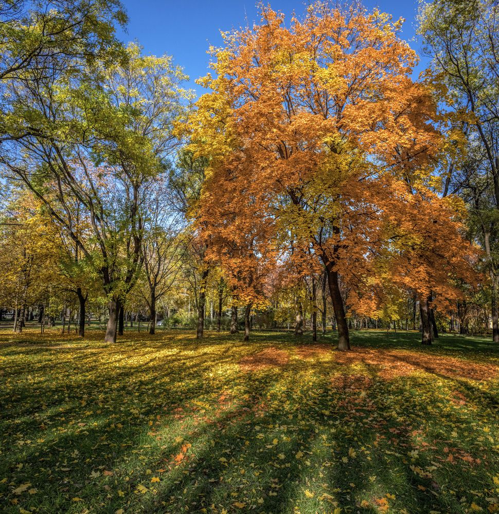 Photograph by Игорь Квочка