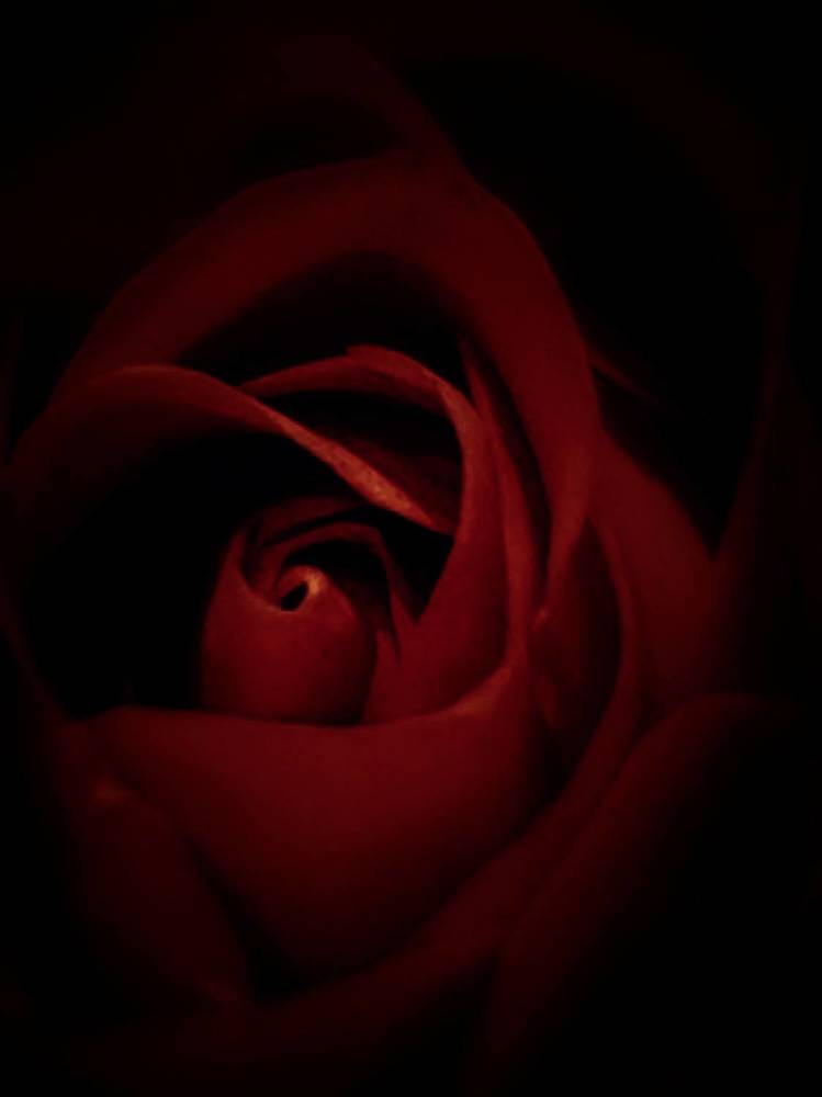 Photograph by Ольга Скиба