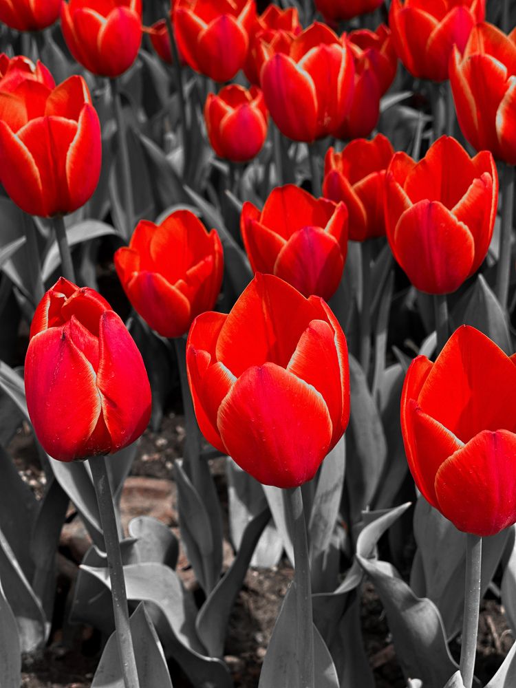 Photograph by Алексей