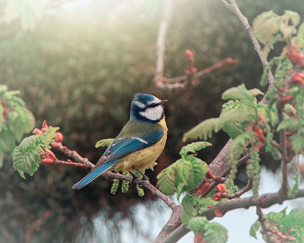 Photograph by TORNIKE PAPKIAURI