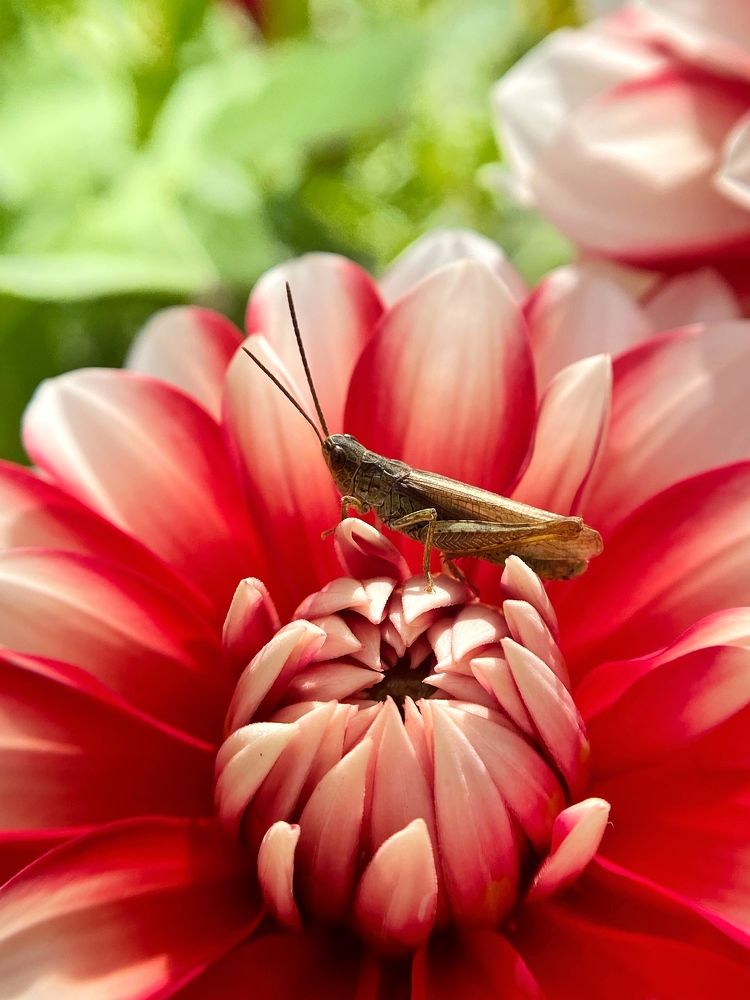 Photograph by Станислава Садыкова