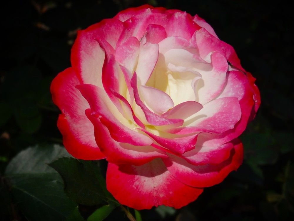 Photograph by Марина Раткун