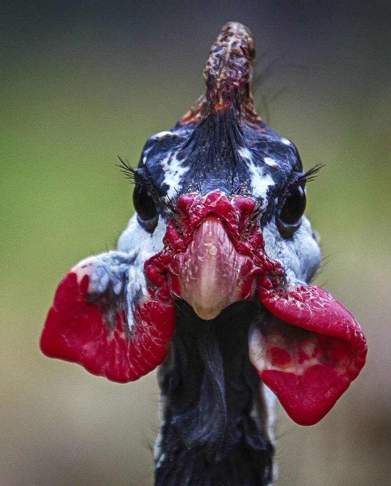 Фотография автора Александр