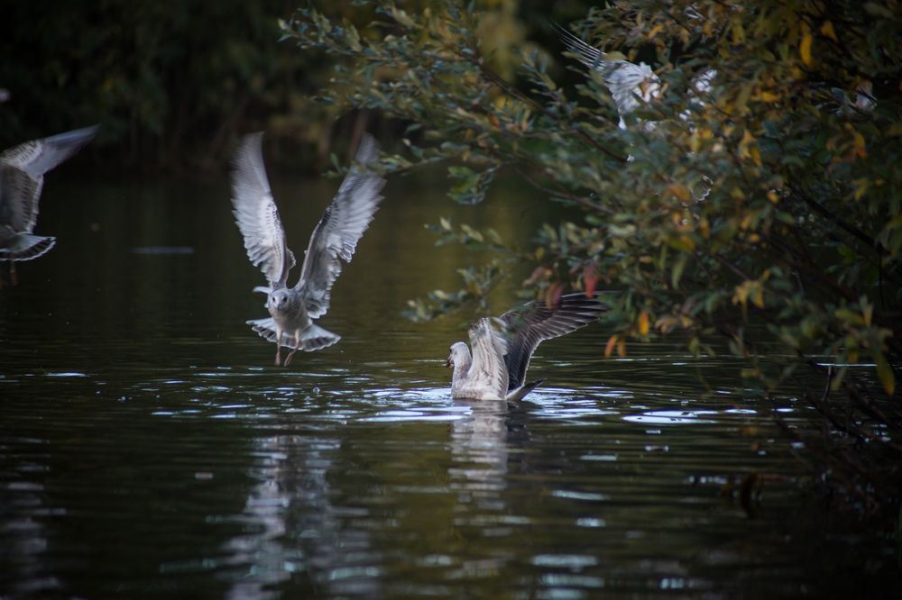 Photograph by Марина Киприна