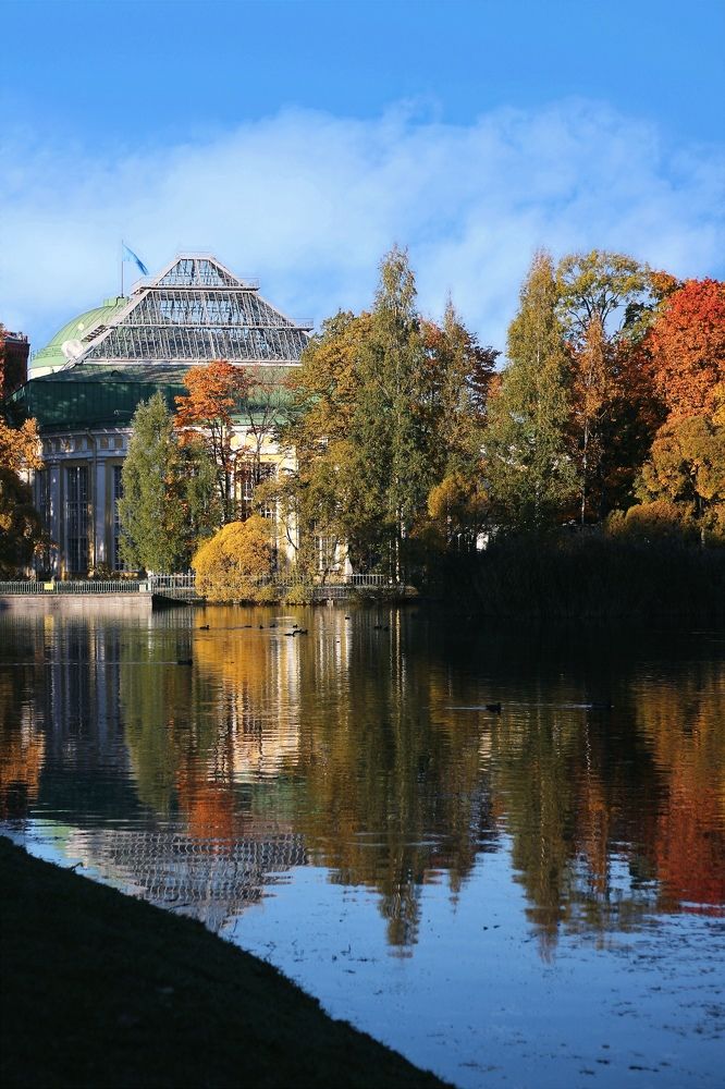 Фотография автора Яна Сергеева
