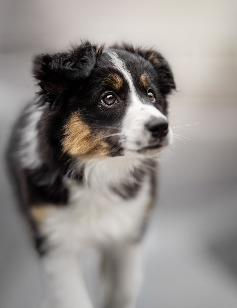 Photograph by Yong Lei van Barlingen