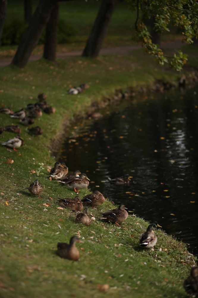 Photograph by Марина Киприна