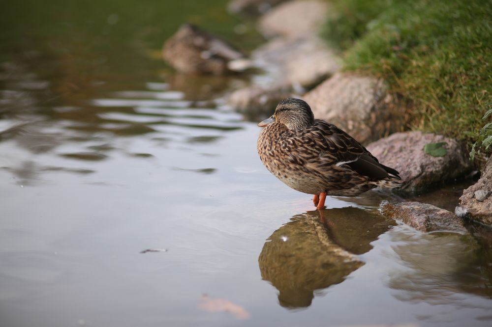 Photograph by Марина Киприна