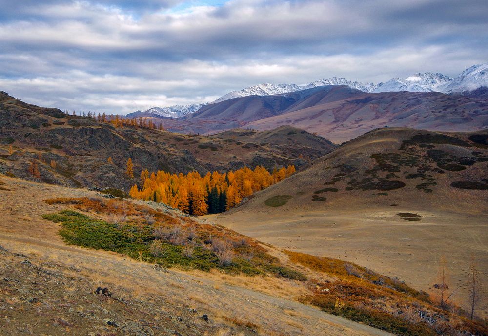 Photograph by Чичкин Валерий