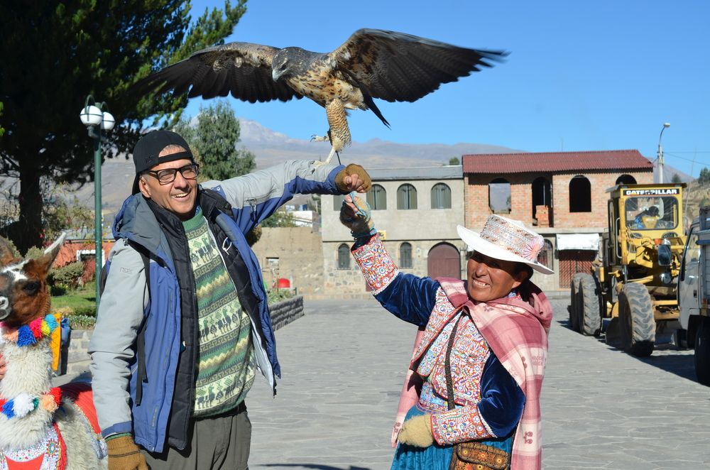 Фотография автора Edmundo Figueiredo Soares Junior