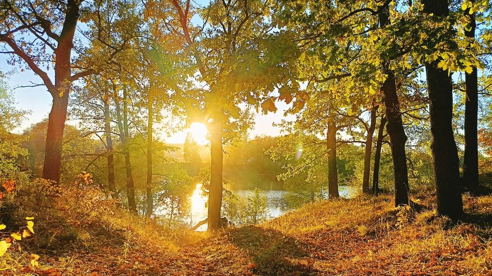 Photograph by Татьяна Пятернёва