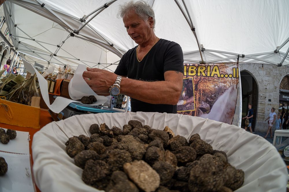 Photograph by Бахтадзе Дмитрий