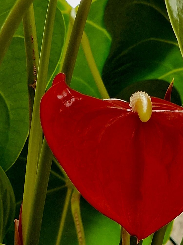 Фотография автора Maryna Pytliak