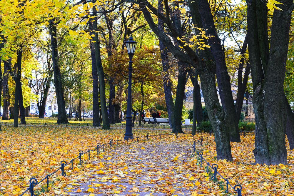 Photograph by Евгений Сорокин