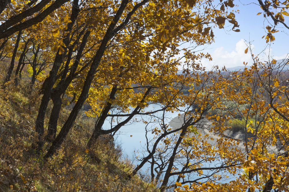 Photograph by Евгений Сорокин