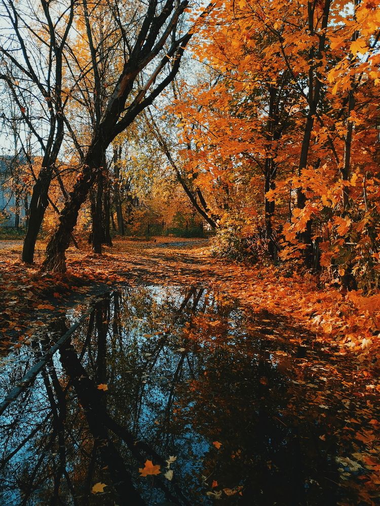 Photograph by Всеволод