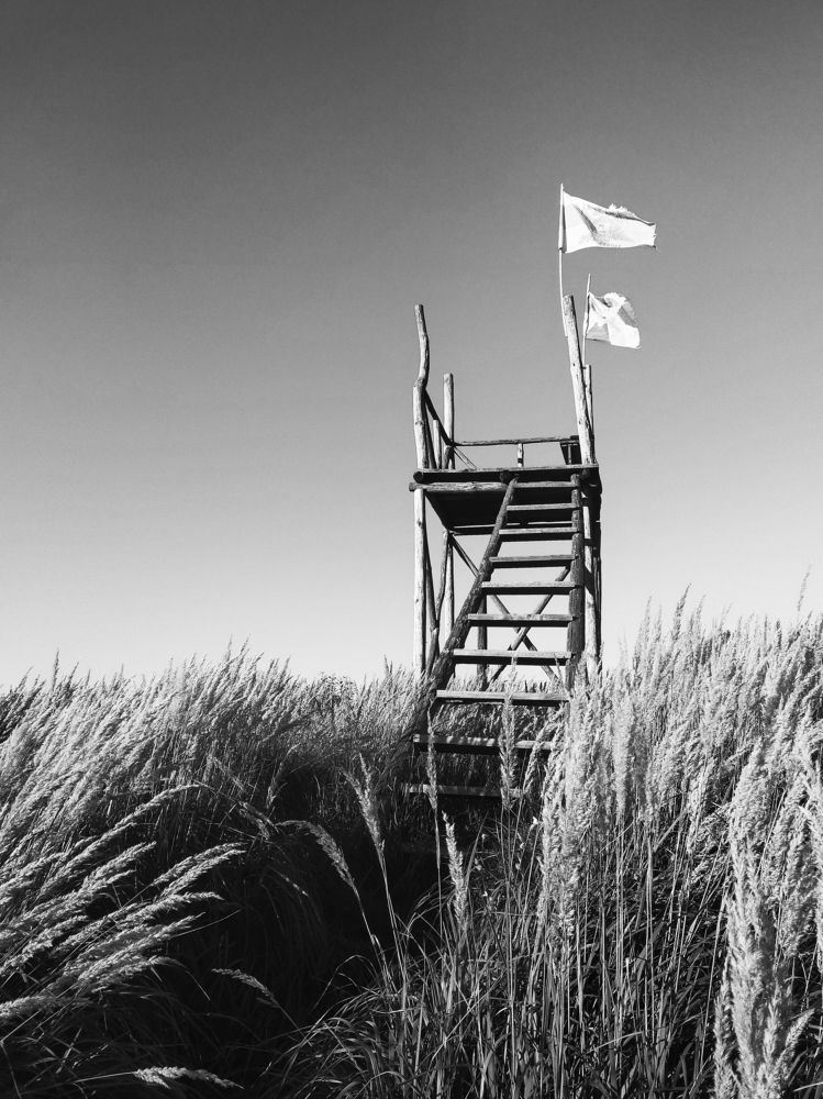 Photograph by Евгения Журавлева