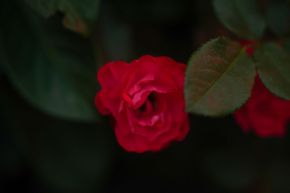 Photograph by Maria Zagagul